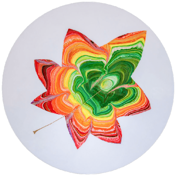 Rainbow Of Fall Foliage