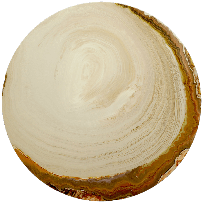 Tree Rings 2